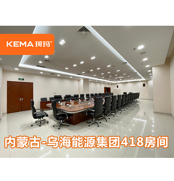 內(nèi)蒙古烏海會(huì)議室：不動(dòng)裝修和吊頂，輕松把燈光效果做出來(lái)