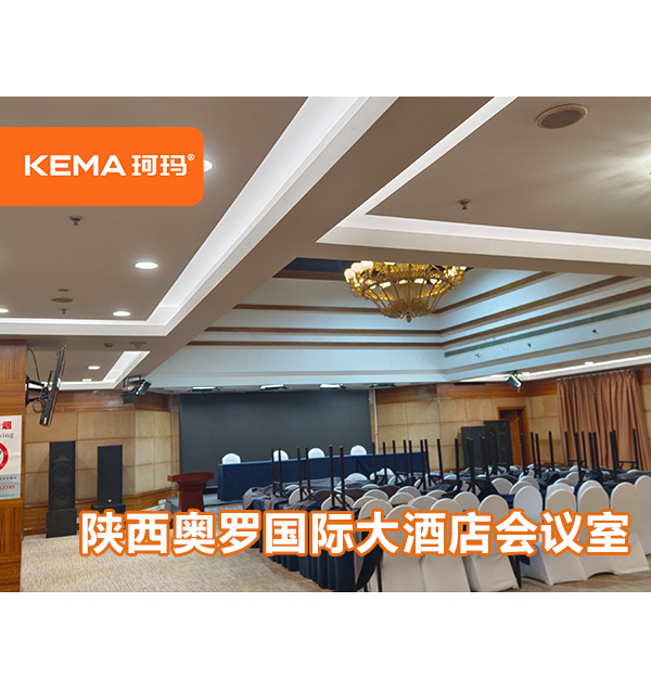 陜西奧羅國際大酒店會議室-秦頌廳領(lǐng)導(dǎo)面部發(fā)黑怎么解決？